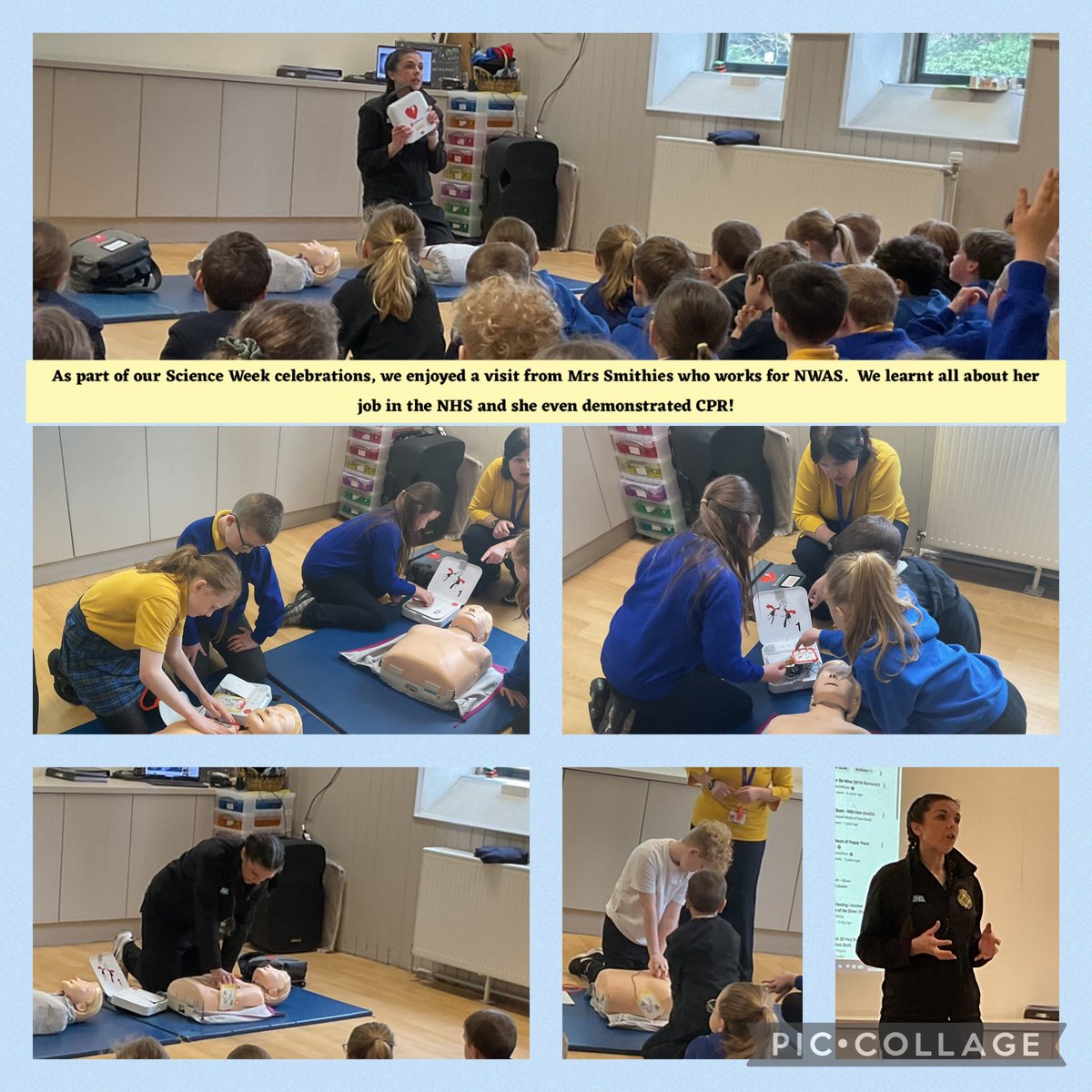 Adlington Primary tweet media