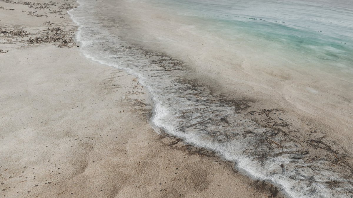 ᴀɢɢᴢ tweet media