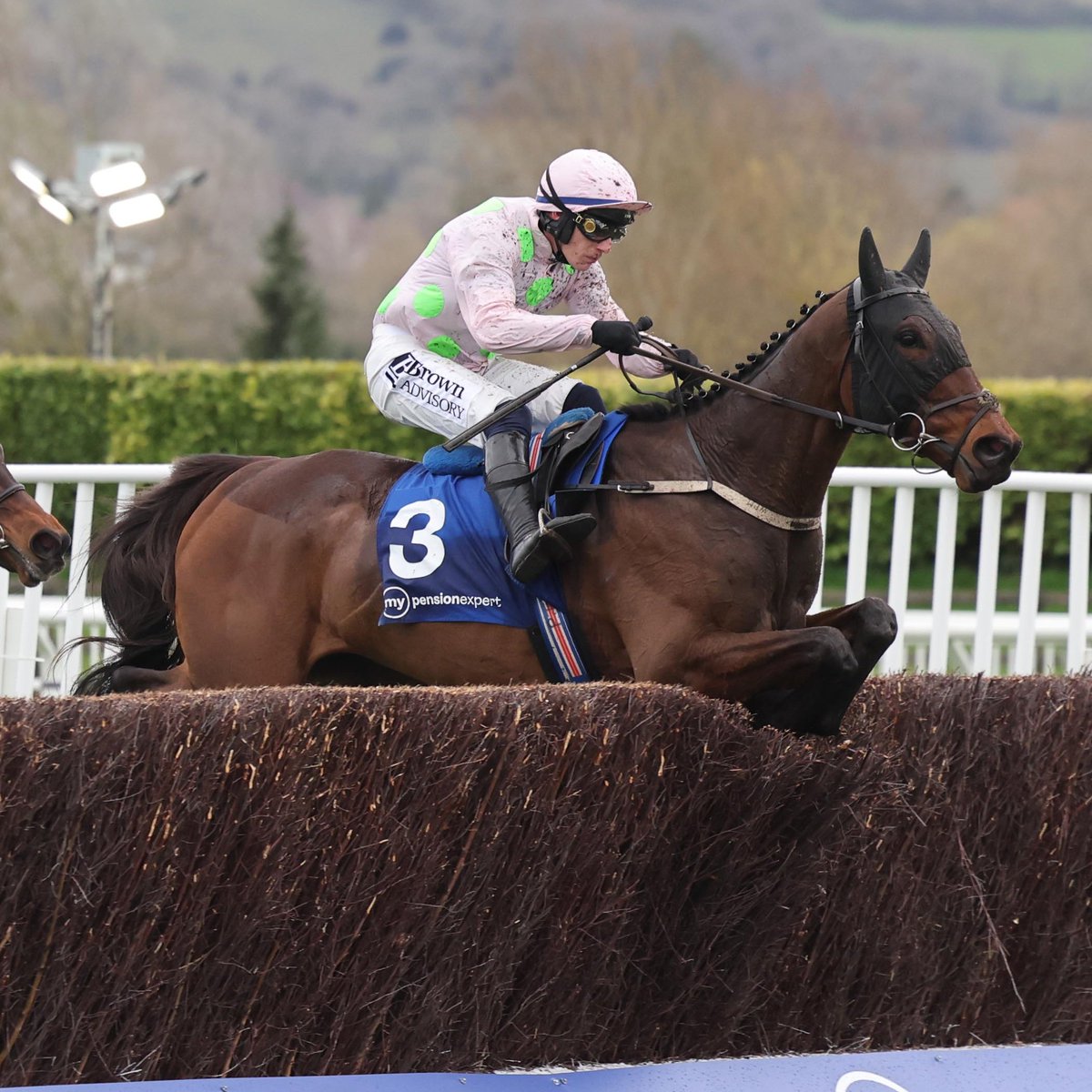 Racing Post tweet media