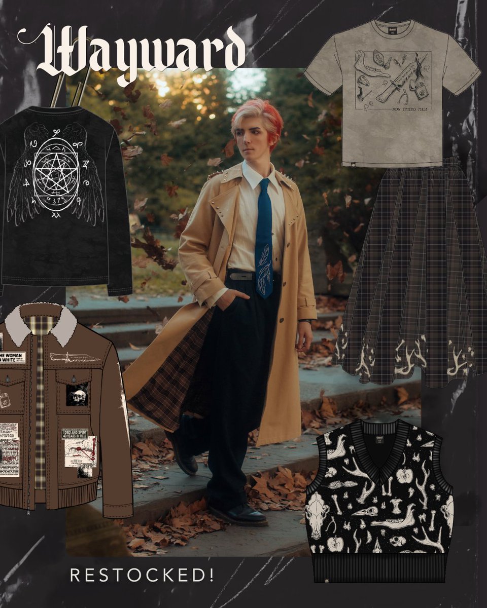 Hushfall Archives tweet media