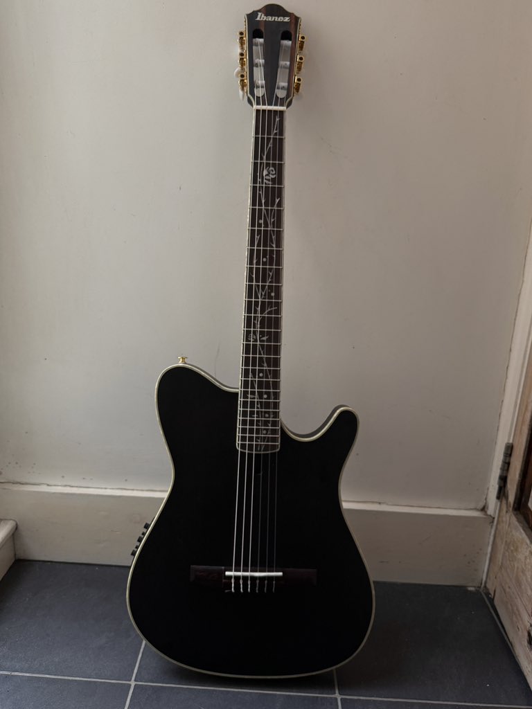 ana howard tweet media