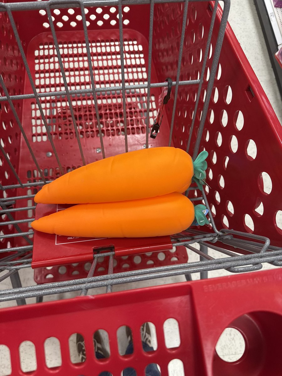 Tracy 🍎✏️🌊🌲 tweet media