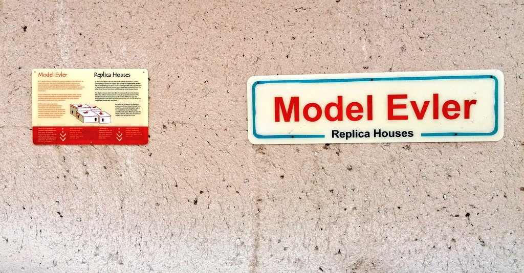 Verimay🍁 tweet media