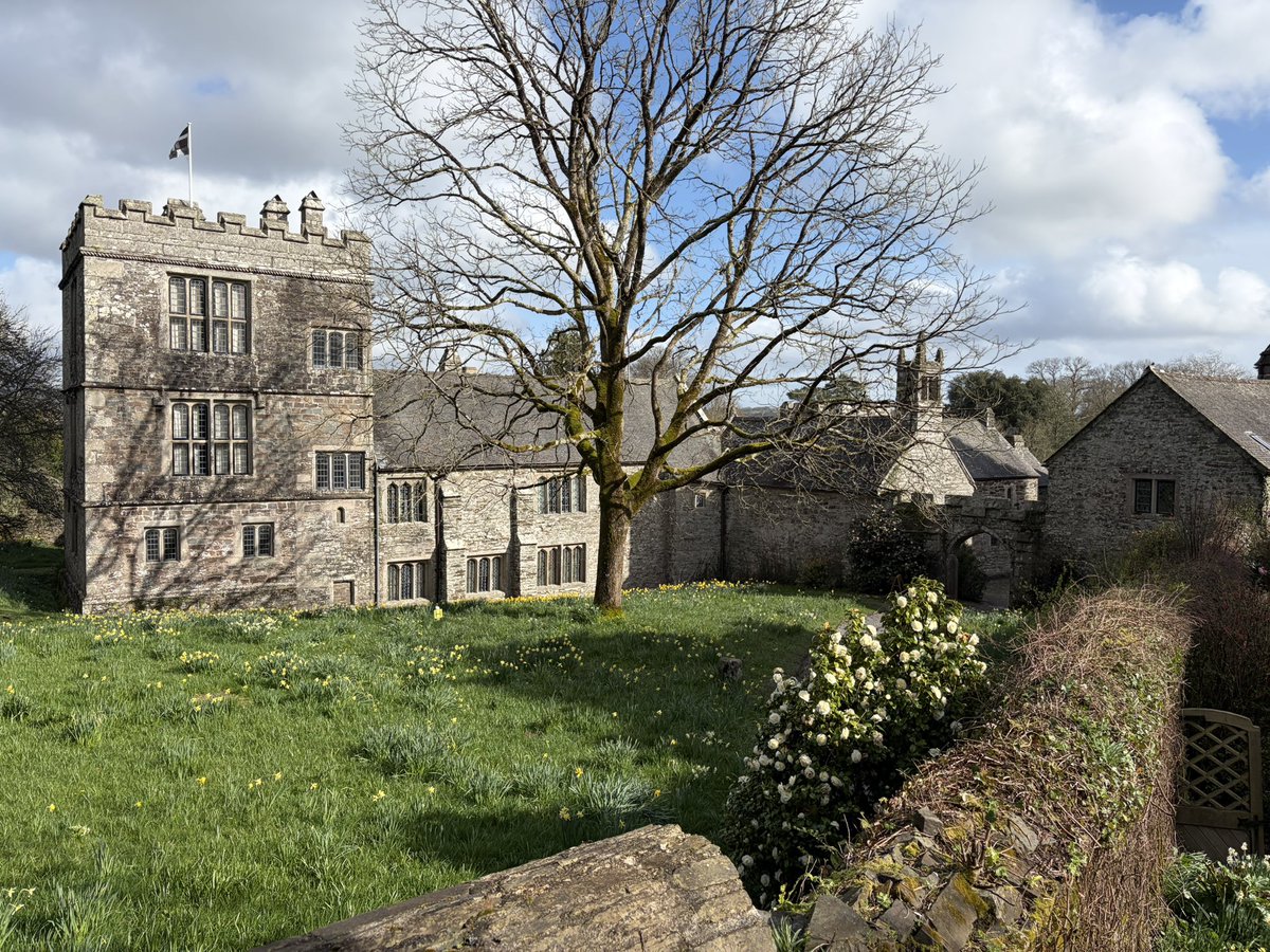 Amy Savage tweet media