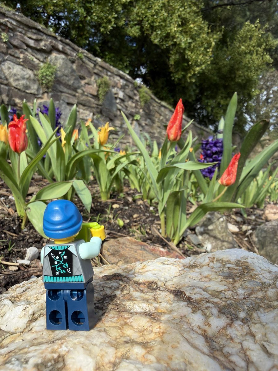 Amy Savage tweet media