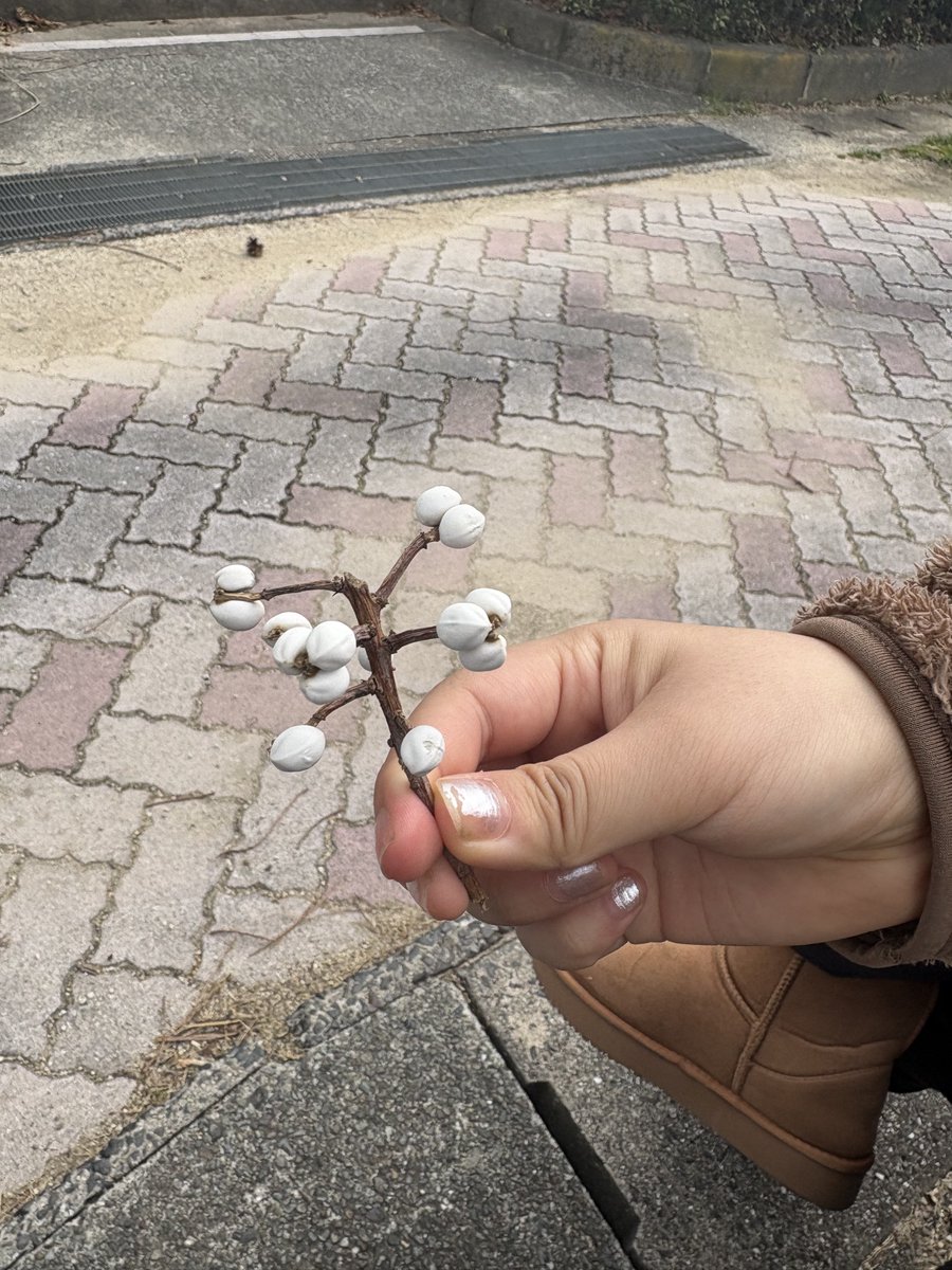 不自然なまでに完璧に美味しいと感じられるものに美味いとは思わなくなってきた。

素材へのリスペクトと理解を感じるモノがとても好き(画像は最近食べてみたおやつ。食べてはいけない