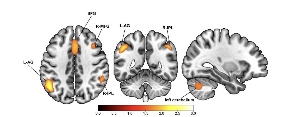 npj Digital Medicine tweet media