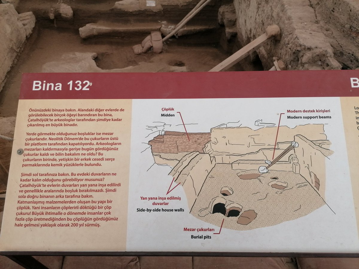 Verimay🍁 tweet media