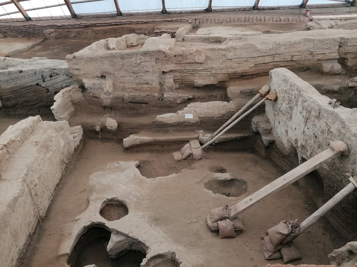 Verimay🍁 tweet media