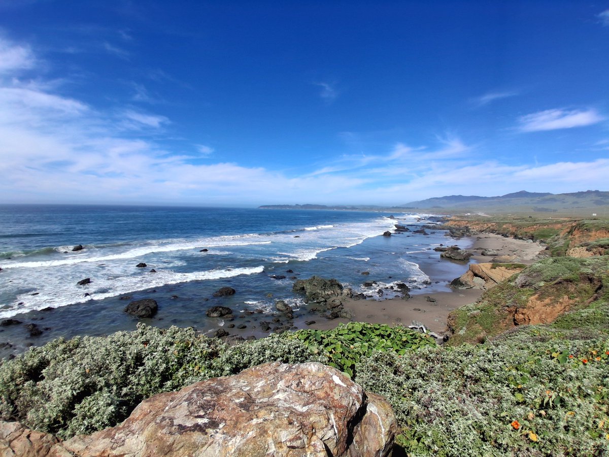 Haeley 'CryoKeen' Ai & Gamer Guy tweet media