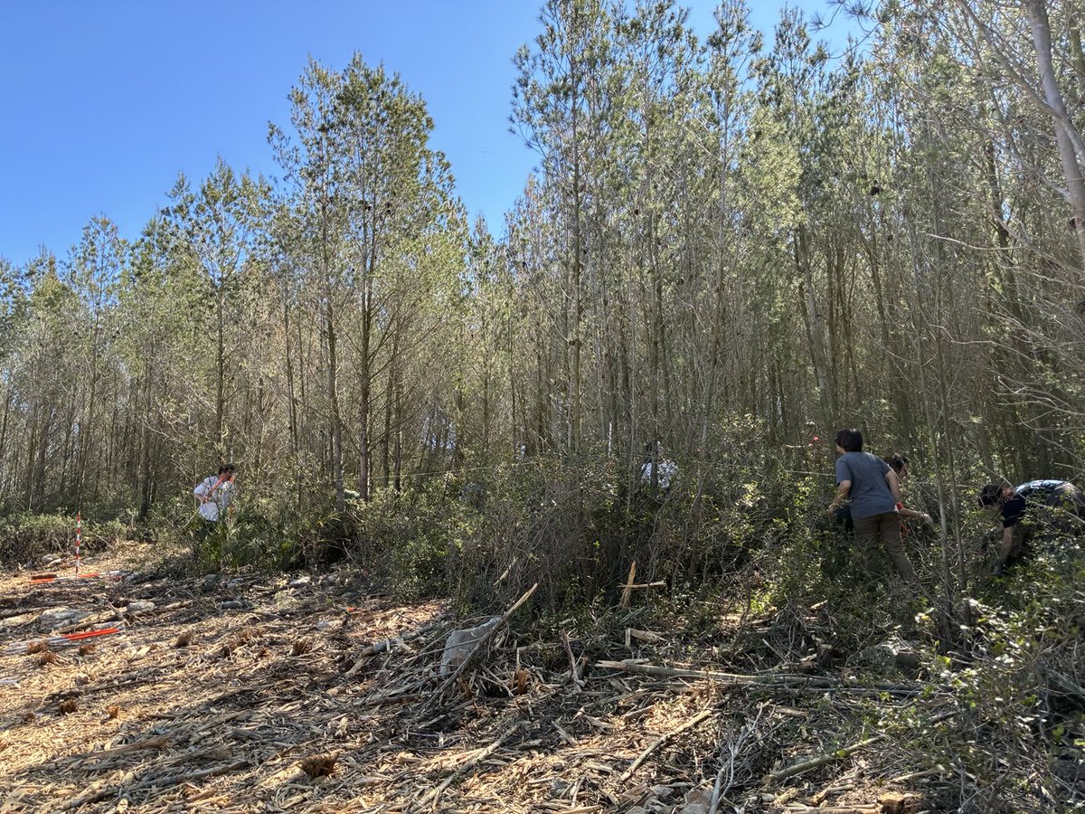 Eduardo Rojas Briales tweet media