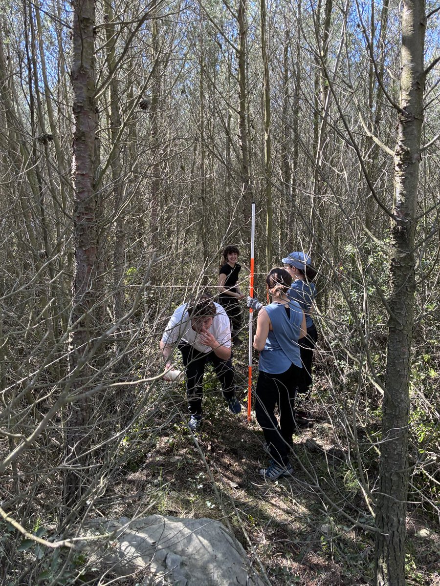 Eduardo Rojas Briales tweet media