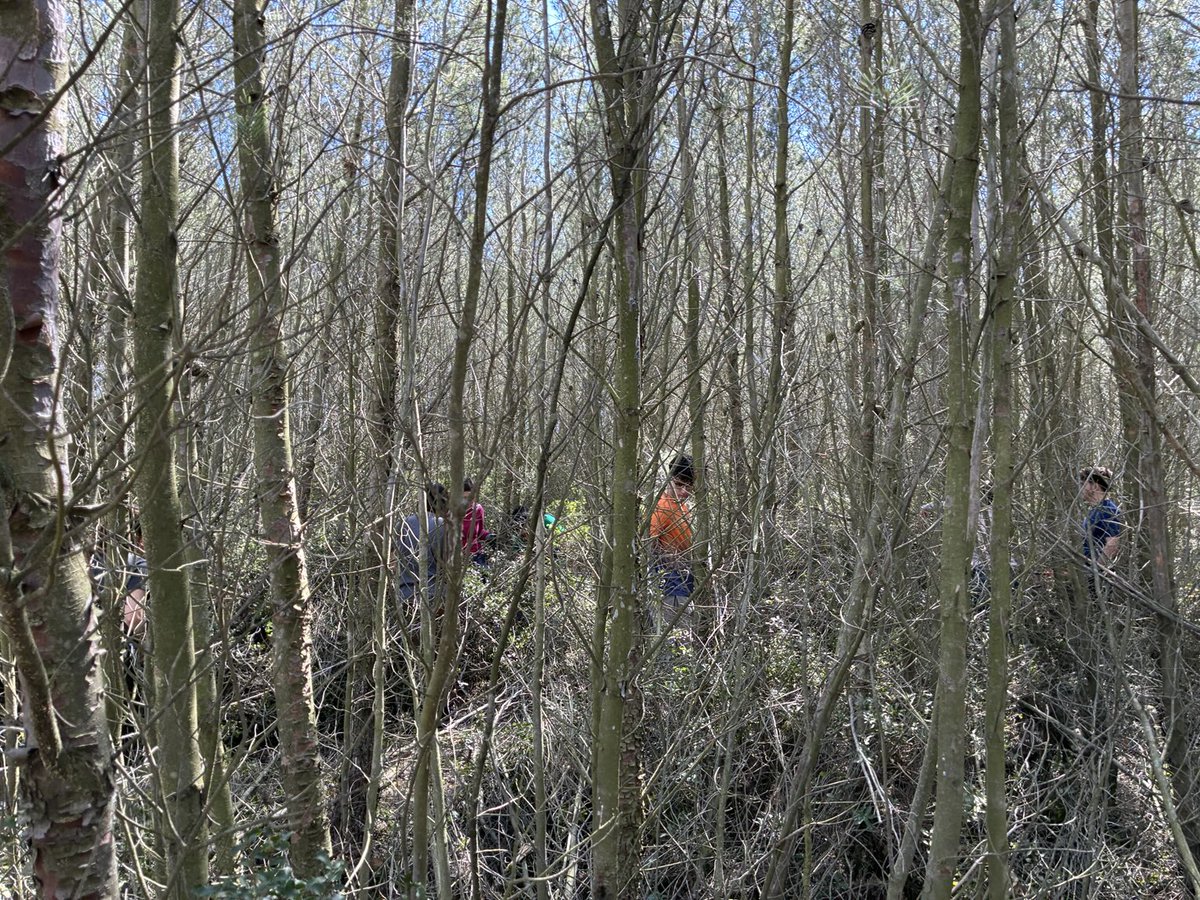 Eduardo Rojas Briales tweet media