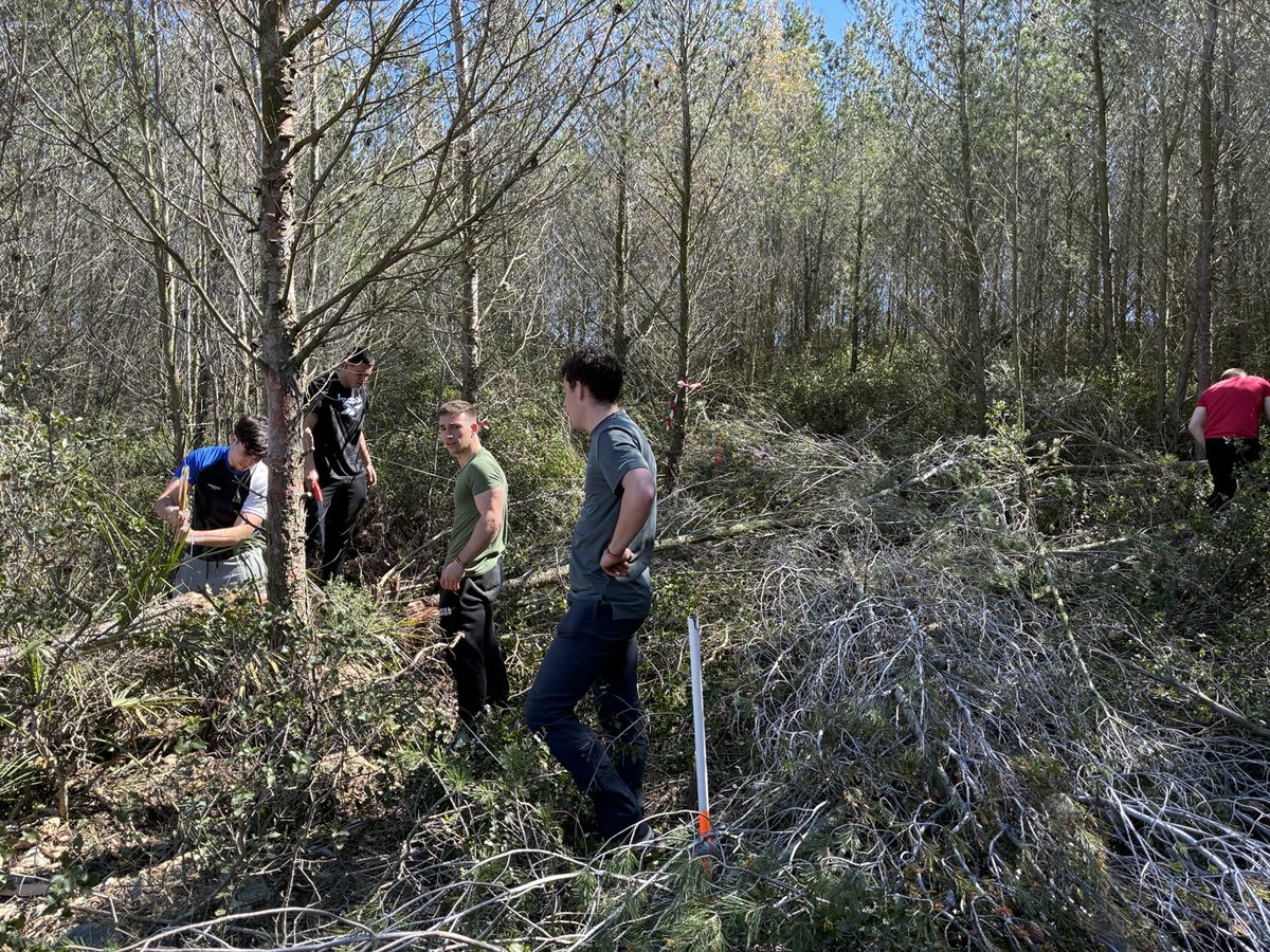 Eduardo Rojas Briales tweet media