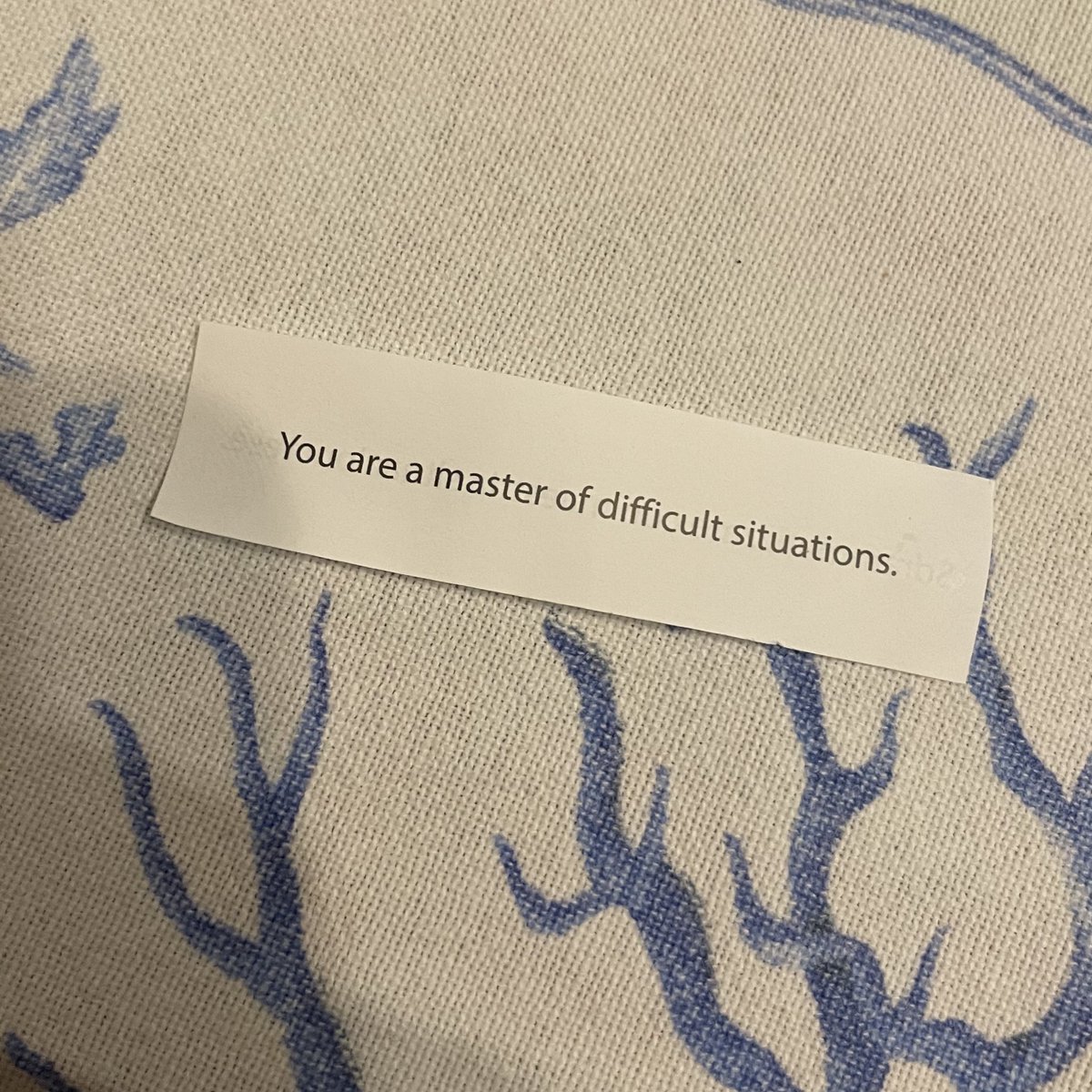 valentina tweet media