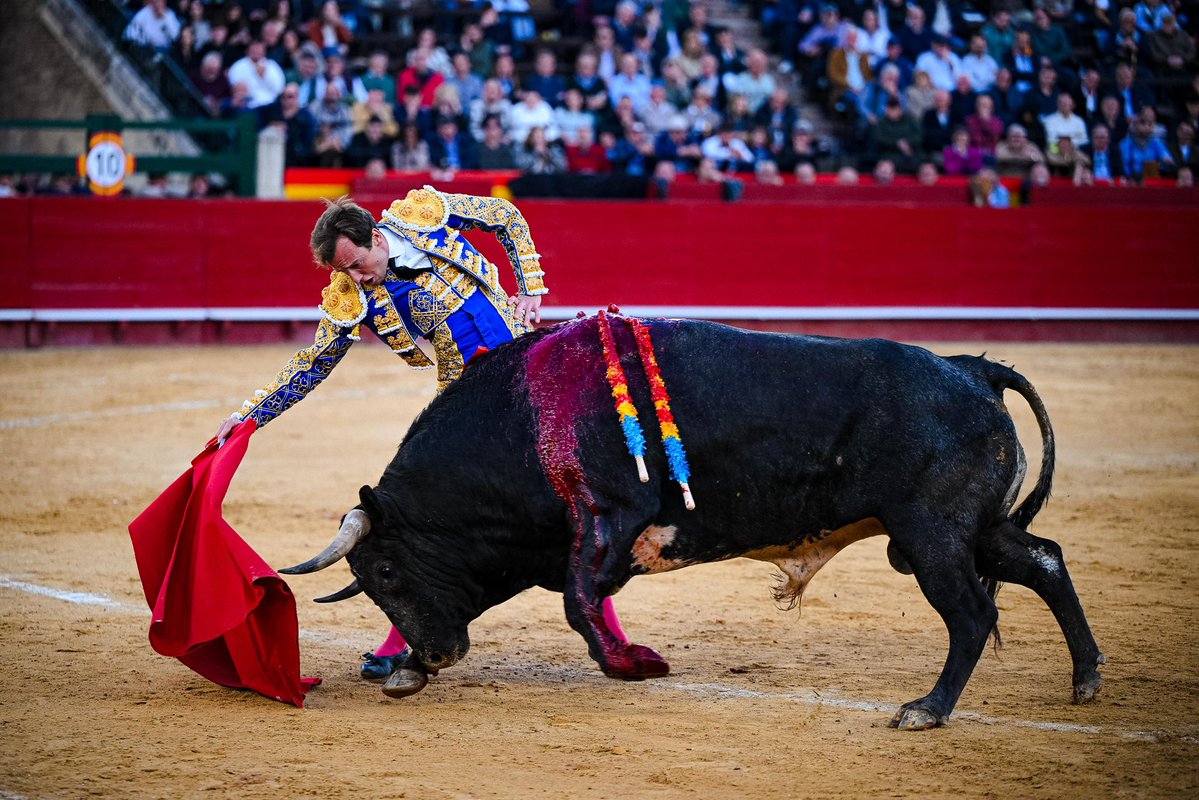 Román Collado tweet media