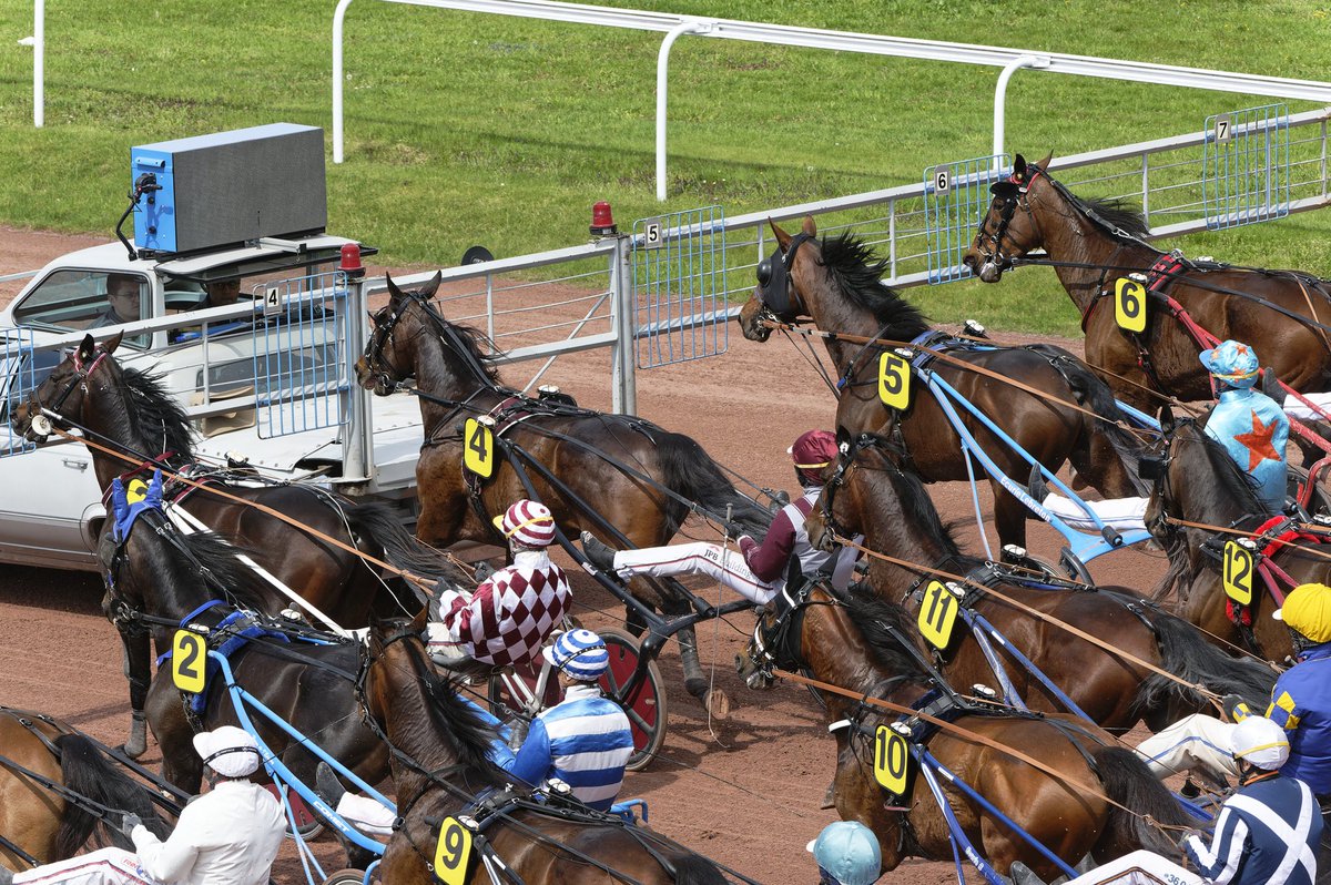 Zone-Turf.fr tweet media