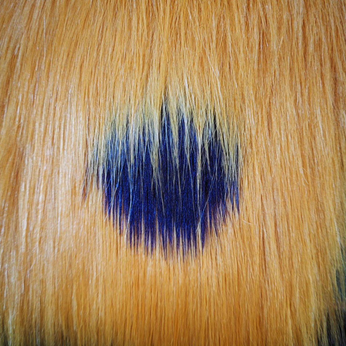 Selkie Suits tweet media