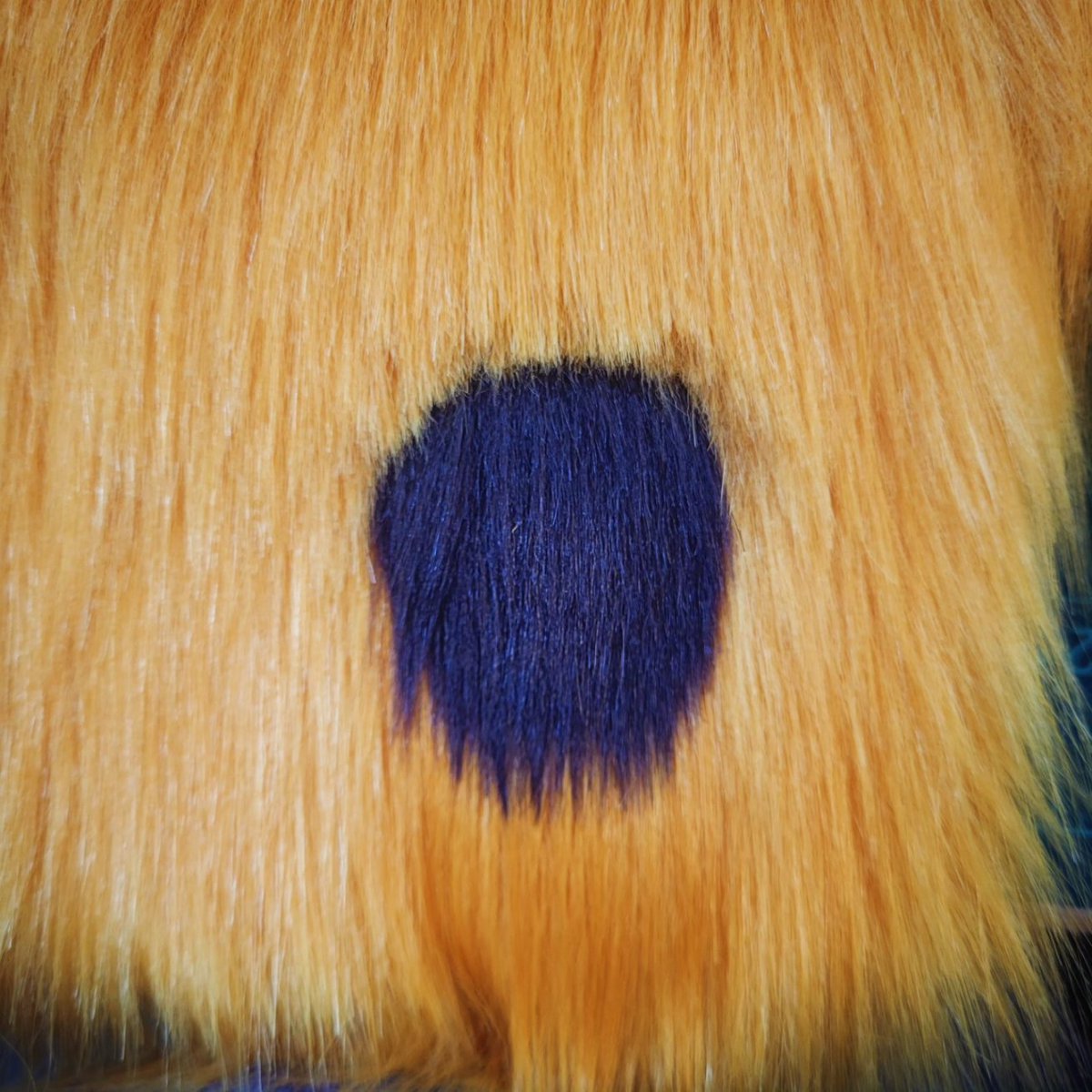 Selkie Suits tweet media