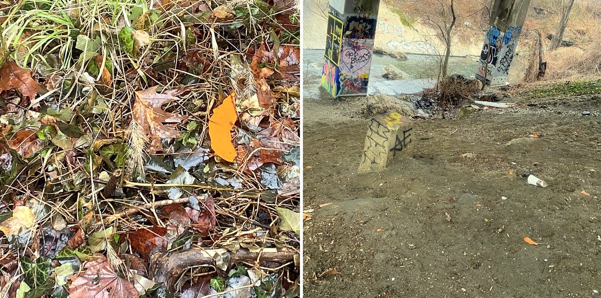 Baltimore Brew tweet media