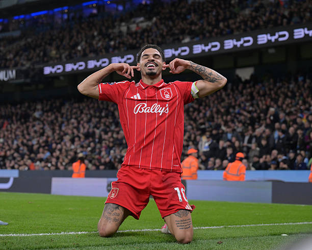 The FPL Newsletter tweet media