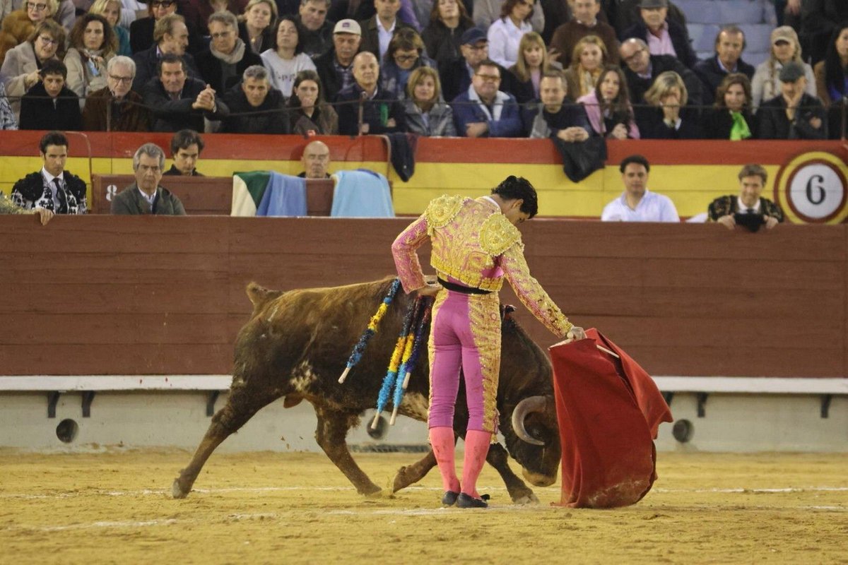 Burladero tweet media