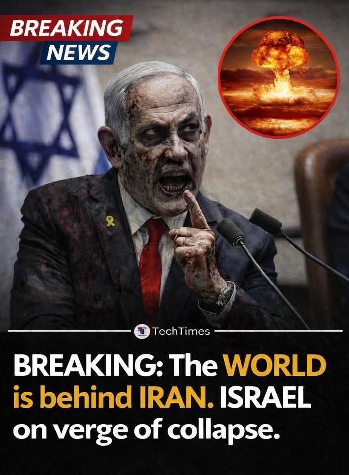 Doug Martin 💜🇺🇦🇵🇸🇬🇪🐟 tweet media