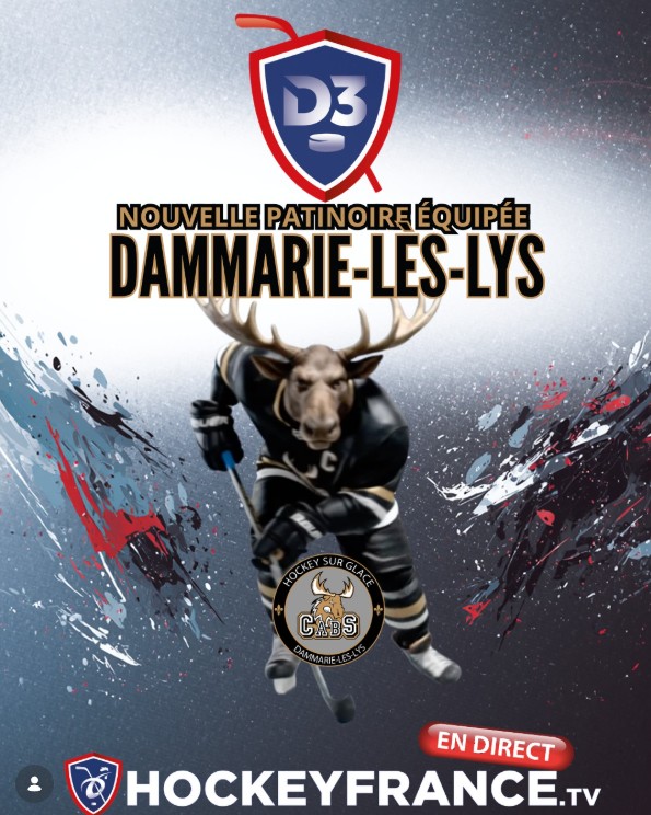 Caribous77 - Hockey tweet media