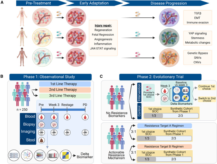 Cancer Cell tweet media