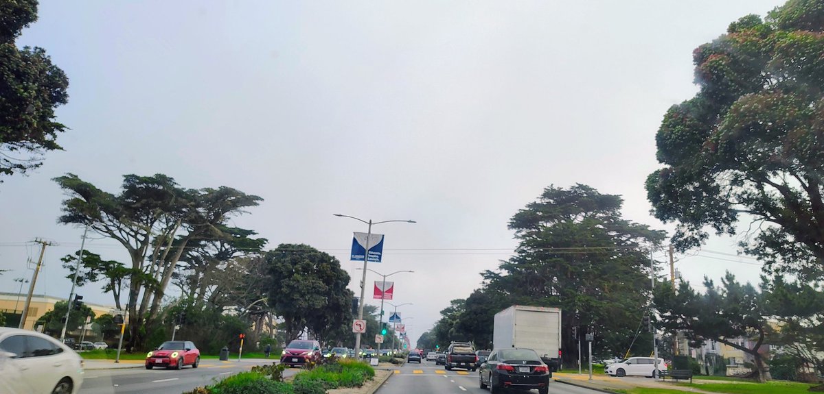 Selena Chu tweet media