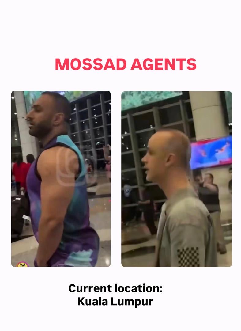 RinaLana tweet media