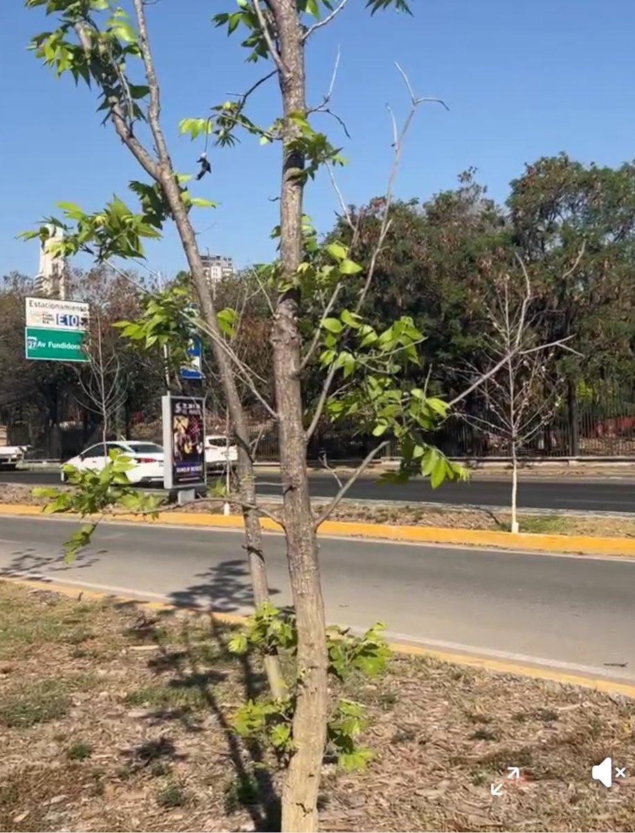 @QuePasaEnNL ®️ tweet media