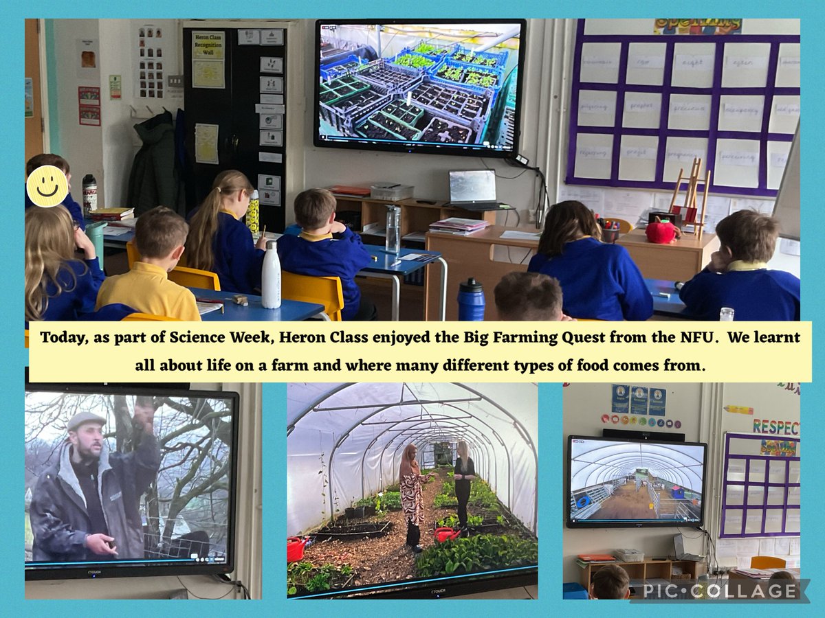 Adlington Primary tweet media