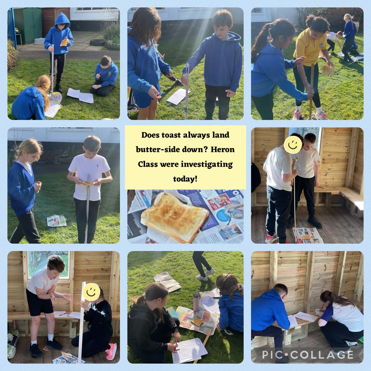 Adlington Primary tweet media