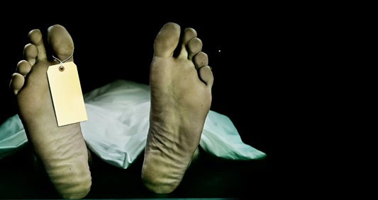 HackneyBooks's tweet photo. Now On Hackney Books - Middle Toe by Ambrose Bierce
Haunted
https://t.co/mFxKoBHzwm
All Free All The Time
#HackneyBooks #BookTwitter #Horror #MiddleToe #Bierce https://t.co/YqayuzlXZR
