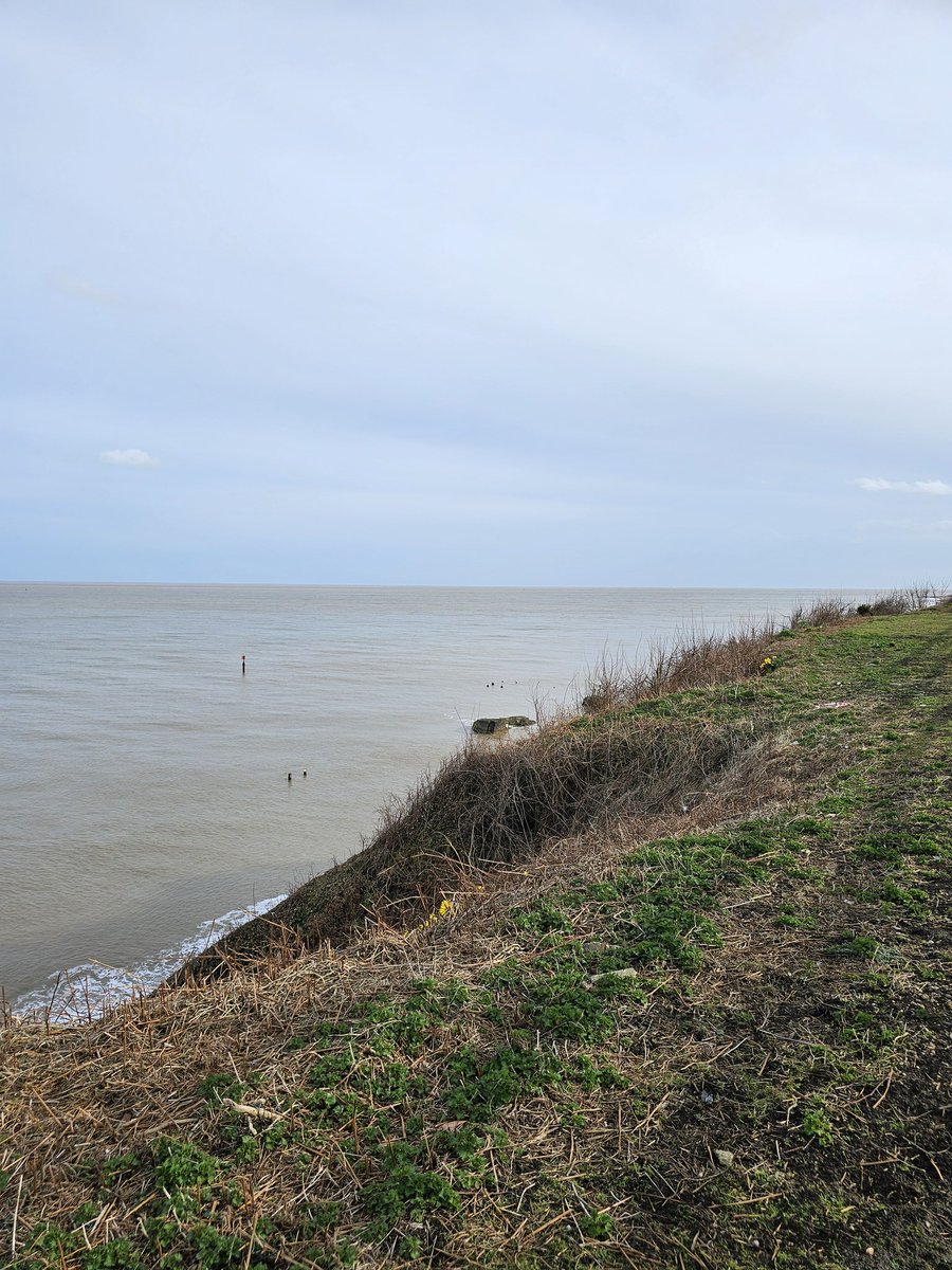 Keith McAdam 🏴󠁧󠁢󠁳󠁣󠁴󠁿 tweet media