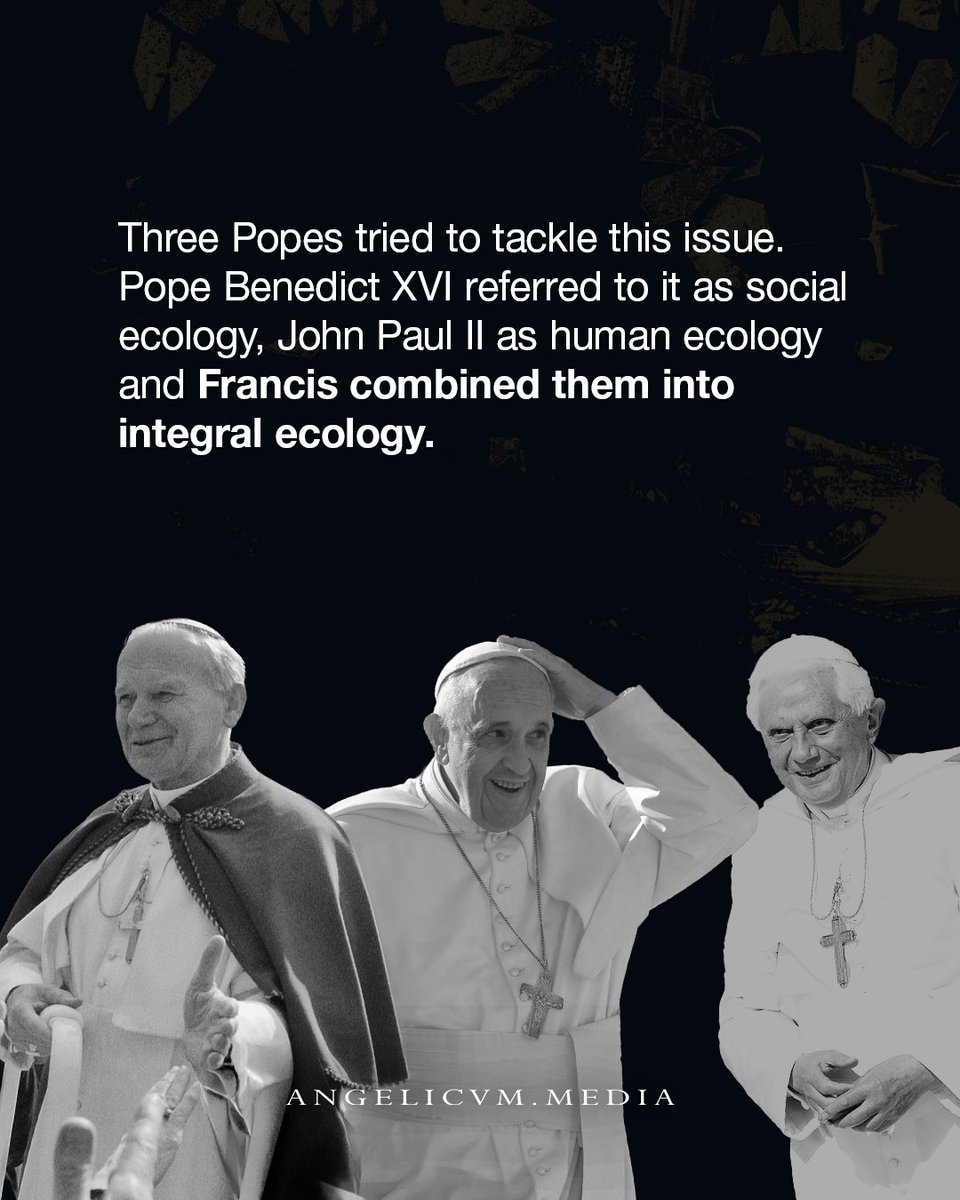 Angelicum Media tweet media