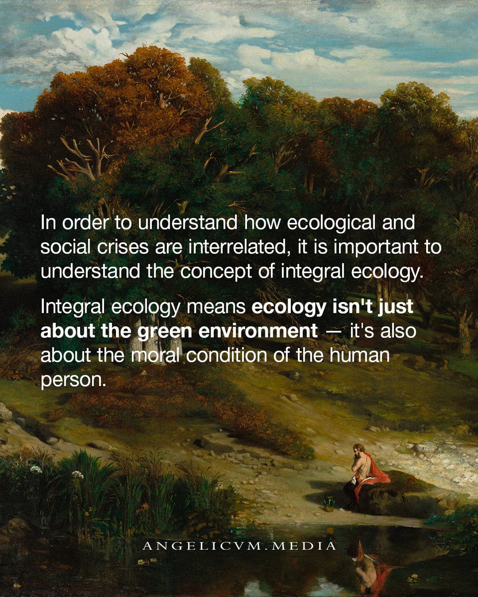 Angelicum Media tweet media