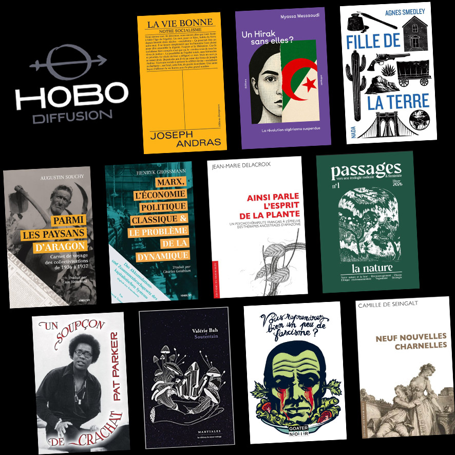 Hobo Diffusion tweet media