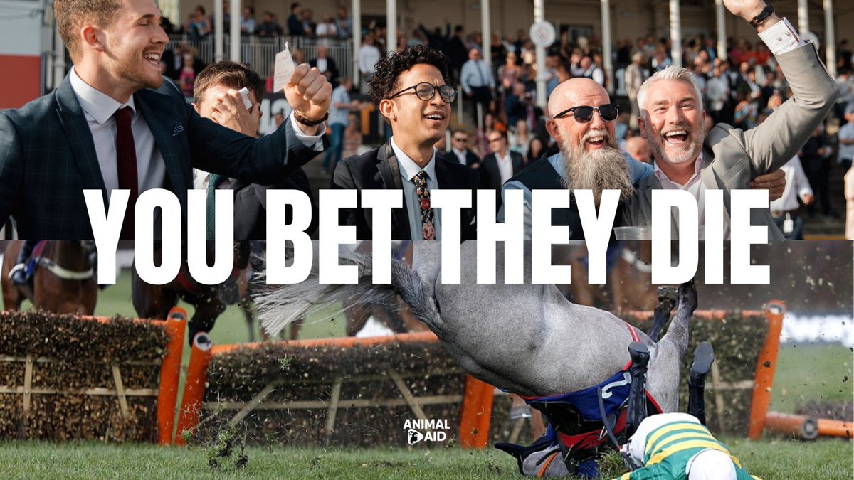 Animal Aid tweet media