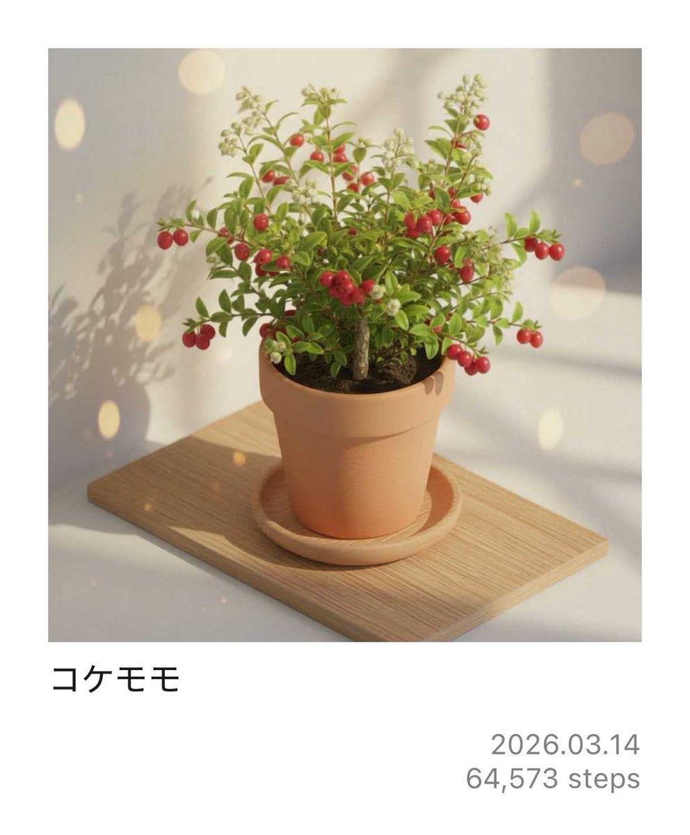 #PixelPot
コケモモが育ったよ！
