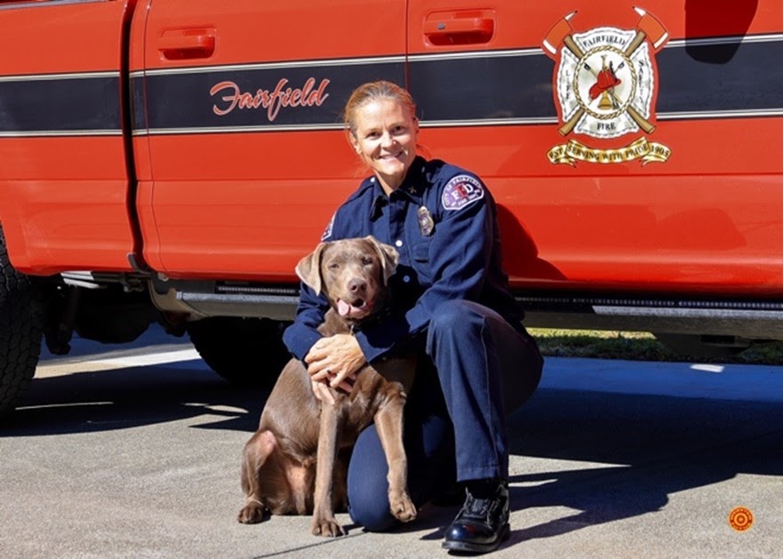 Health and Safety Corner dlvr.it/TRTC6J