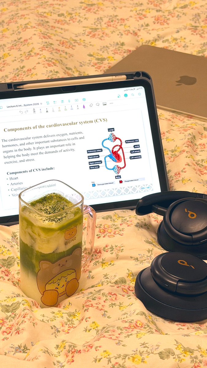 Zainab🩺 tweet media