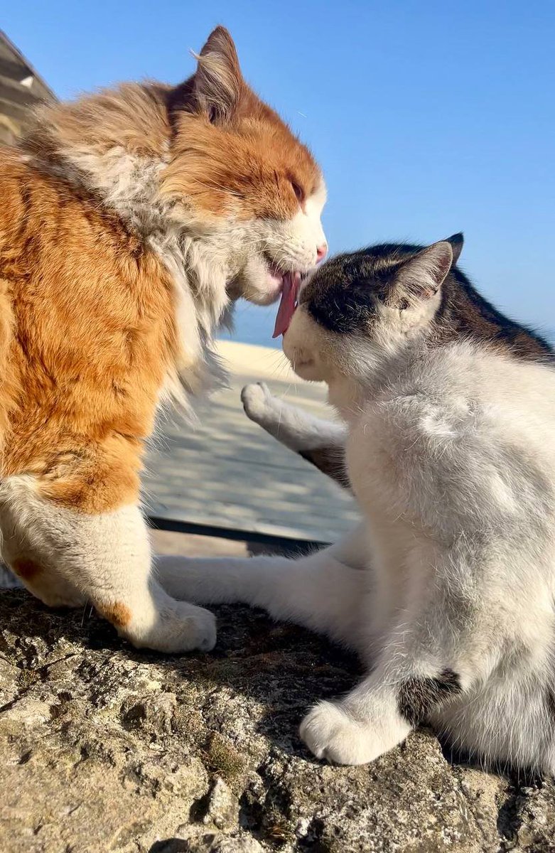 Ann Winter tweet media