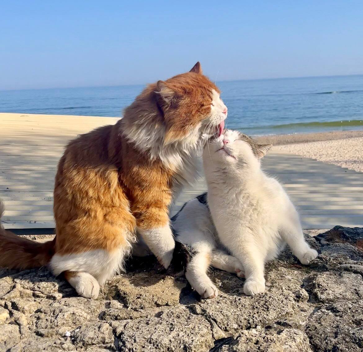 Ann Winter tweet media