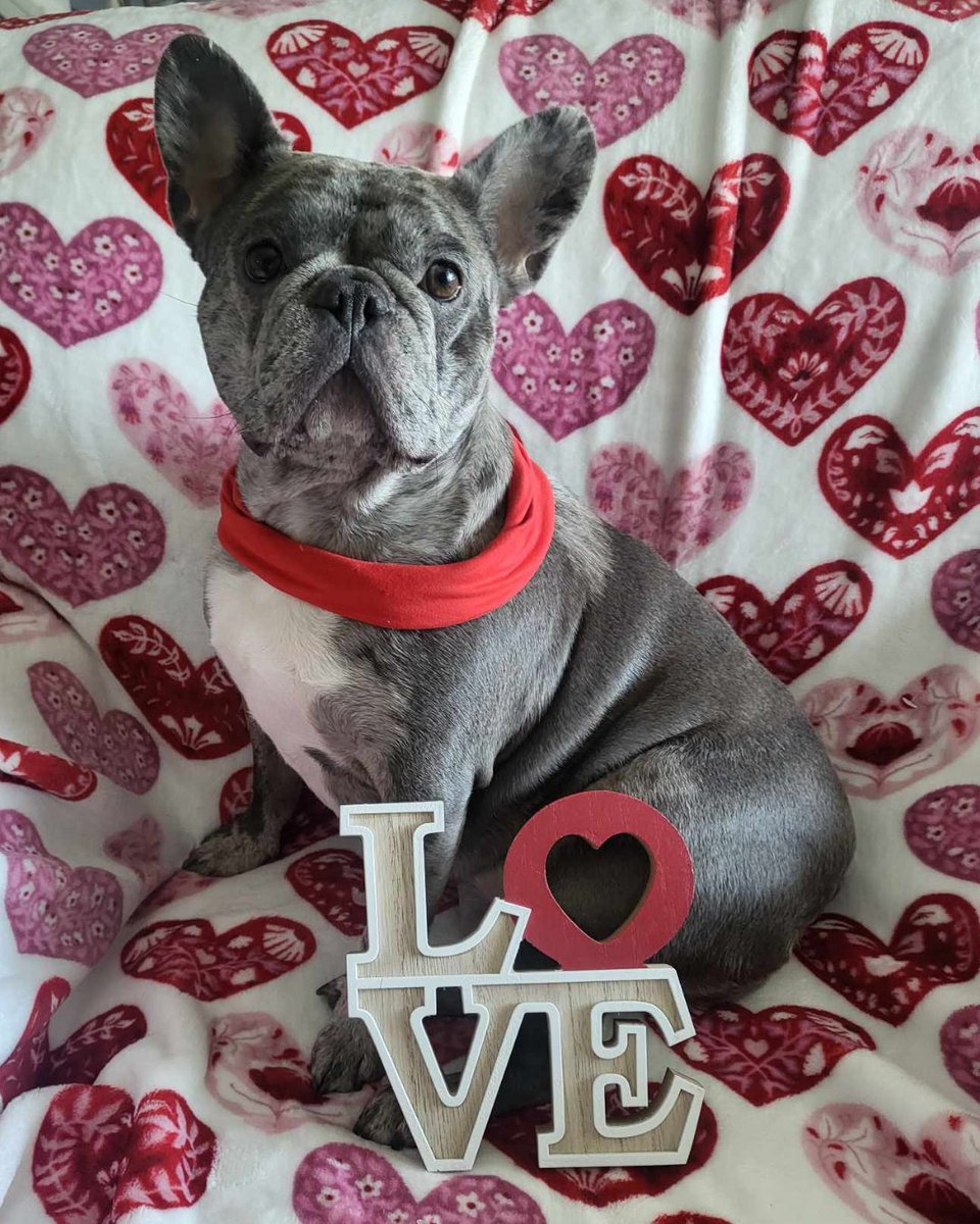 Orion WealthTech tweet media