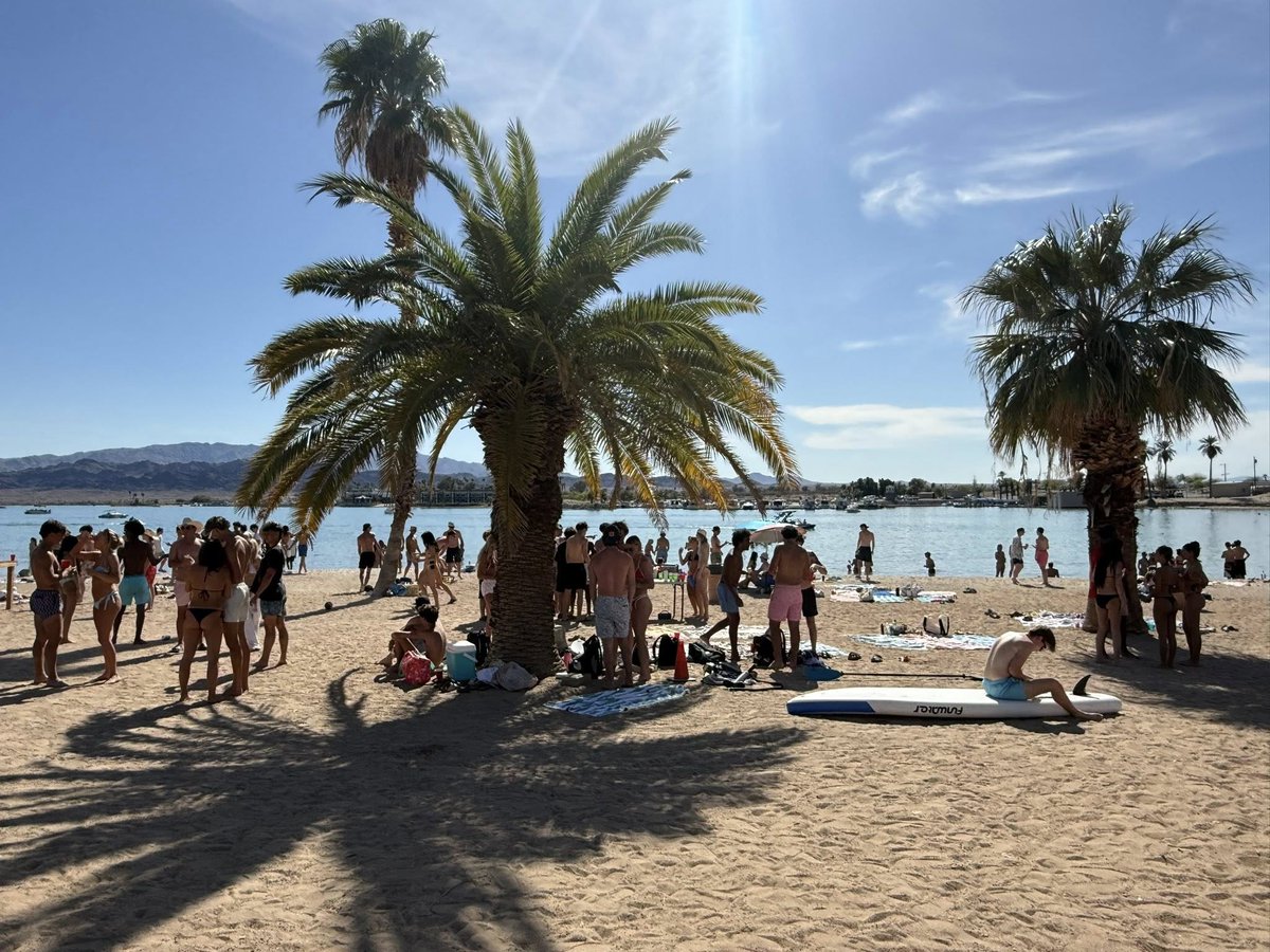 Go Lake Havasu tweet media