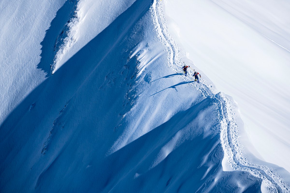 Sportvicious tweet media