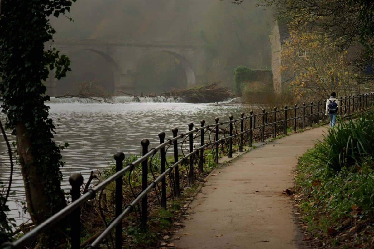 Rowtography | Jason Row Photography tweet media