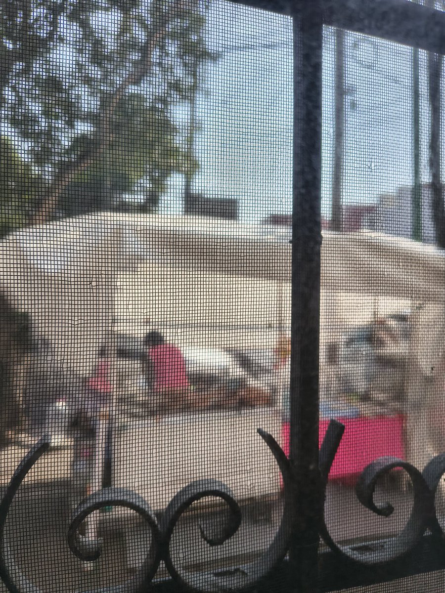 Hatit55's tweet photo. @VecinosSurRoma @YoCuauhtemoc @craviotocesar @ClaraBrugadaM @GobCDMX @AlcCuauhtemocMx @AlessandraRdlv Pues ahora de lunes a viernes, un puesto de comida afuera de mi casa! Quién regula esto? Solo llegan y se apoderan del espacio. Toluca y Huatabampo. Con este calor y sin poder abrir ventanas! Va en contra de nuestros derechos humanos! https://t.co/6P6KNKiqaO